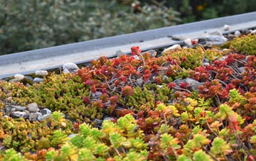 the cost of Lydden green roof installation