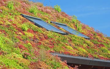 Lydden living roof systems