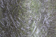 Lydden fibreglass roof work